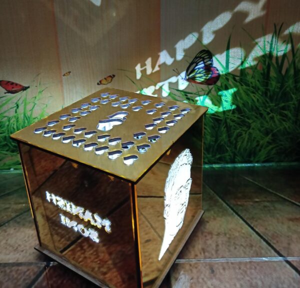 Gold Acrylic Shadow Box